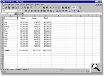 Microsoft Excel